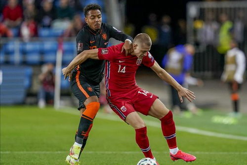 英超联赛精彩对决现场画面